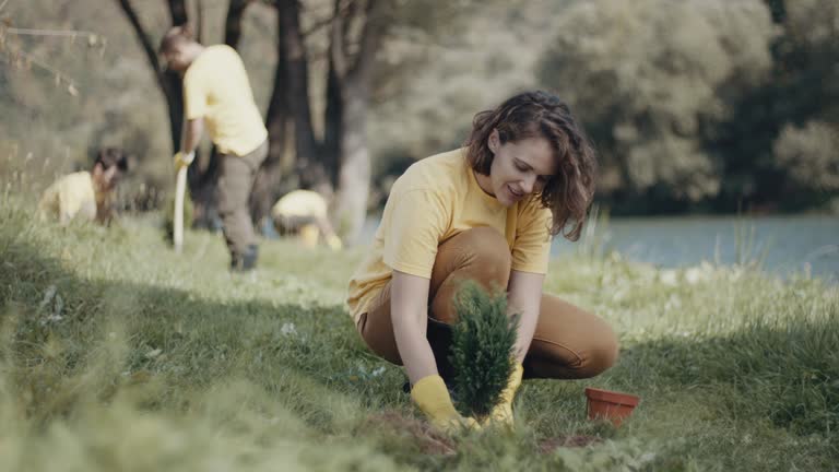 Best Lawn Pest Prevention  in Charlottesville, VA